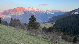 Chalets Chalet savoyard ecoresponsable, quasiment neuf 8 pers : photos des chambres