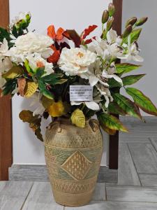FEDE HOUSE OLBIAMARE CIN r3656