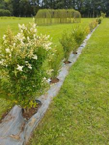 Campings L-Oree des 4 chemins : photos des chambres