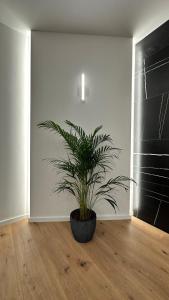 Villa Marco Polo , grijani bazen , jacuzzi