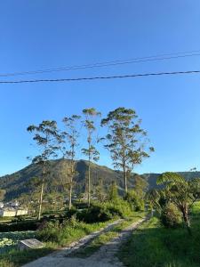 farmhouse villa dieng