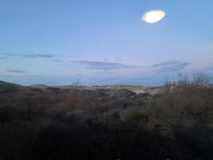 Appartements Appartement 1 chambre face aux dunes : photos des chambres