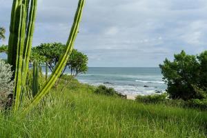 Casa Ohana - 5 BR Ocean Front Home in Playa Negra, CRC