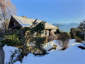 Chalet cosy avec vue sublime