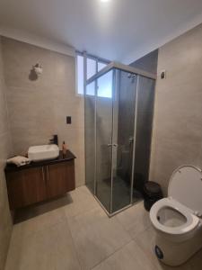 Departamento Céntrico y amplio