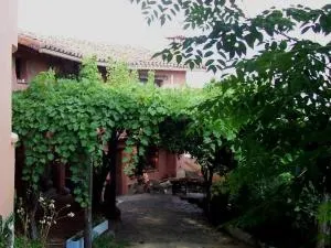 Acogedor apartamento al sur de la Sierra de Gredos - Parrillas