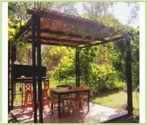 EL DESPERTAR - Nueva Palmira