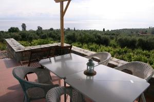 The Iconpainter Zaga Villa