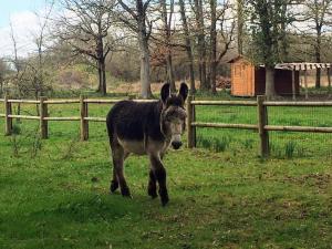 Campings Mobilhome cosy Aulywan : photos des chambres