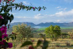 Koraalboom at Benlize