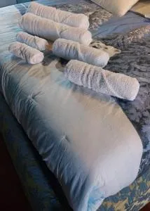 Alloggio turistico Giulia - ألبانو لاتسيالي