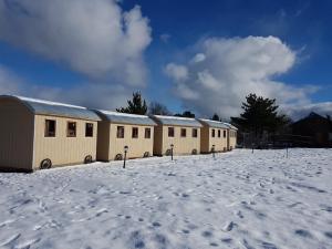 Centro turístico malalcahuello ltda