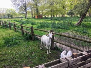 Campings Mobilhome cosy Aulywan : photos des chambres