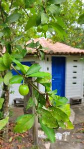 Estalagem Santo André