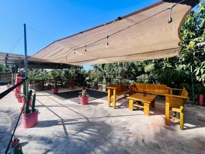 Palmar la Punta 2 Starlink 2min walk to the beach