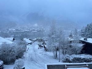 Chalets Chalet Cristal II : photos des chambres