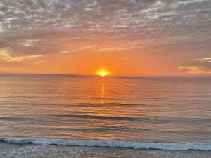 King of the Beach - SUR79