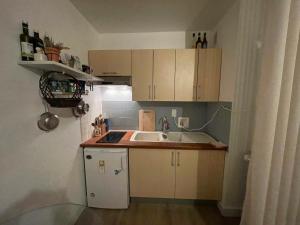Appartements Charming studio - board of Geneva : photos des chambres