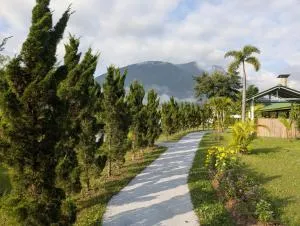 Tao Life Center - Mēkōhn