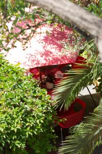 Hotels Hotel des Arceaux : photos des chambres