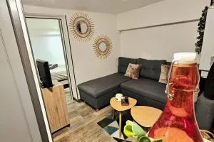 Charmant studio 30m2 - 热尔扎