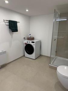 Isaak Apartment Lottstetten