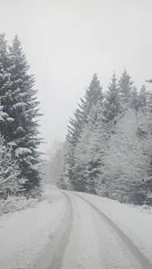 Bieszczadzka Chata - Stańkowa