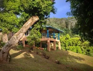 Potter House TSUKAMOTO Vue sur Baie de Maroe - Parea