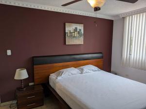 Puerto Sebastian Piscina y Playa