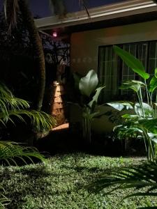 Downtown volcano House