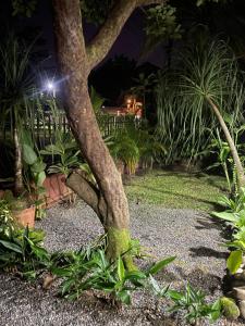 Downtown volcano House