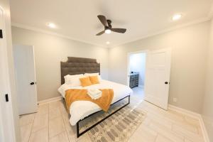 The Oneonta Experience