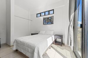 Hotel Boutique Árbol de la Vida