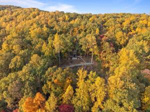 CloudPointe Retreat Treehouse