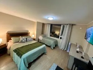 Departamento Centro Osorno 2 - 奥索尔诺