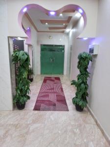 جناح فاخر غرفتين نوم وصالة تلفزيون