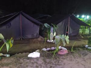 Anmols Camps and Huts By StayApart