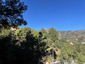 Solan Woods - Cozy Studio Apartment in Chester Hills, Solan