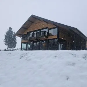 Poiana Brazilor - 科利比塔