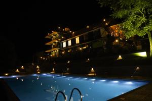 jungle view resort