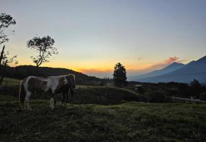 Hacienda Tierra de Fuego Pacaya