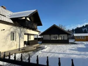 Casa Viorica - 坎普朗莫道尼斯