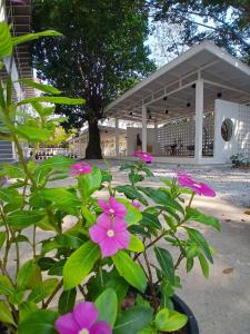 ฮัก ณ หนองคายโคซี่วิลล์ Hug Na Nongkhai Cozy Ville