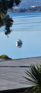 Views of the Tamar River