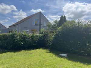 Bungalow in Breskens near Beach & Pool