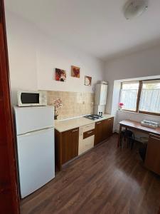 Propriete Eleven - Close to downtown, Spiridon Hospital, IRO Hospital
