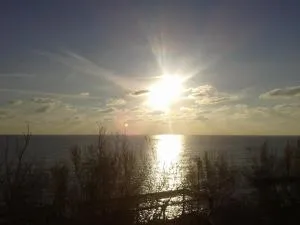 Foivos Seaside Apartments - Agios Georgios