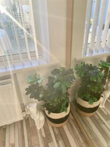 Seaview Cottage on the Island