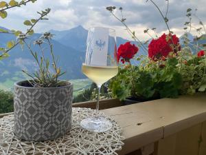 Appartement Sonnenschein im Ferienhaus Johanna in Mayrhofen-Hippach- Nähe der Skipiste