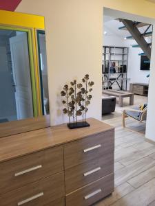 Villas L-oasis des fleurs : photos des chambres